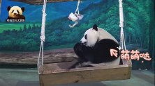熊猫圆仔慵懒地坐在秋千上，双手捧着水果冰，甜在嘴里，美在心上