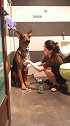 果然再凶的狗子都怕母老虎，看着乖乖洗澡的狗子，我竟有一丝心疼！