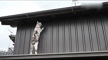 猫咪对这新家很好奇，到处去视察熟悉环境