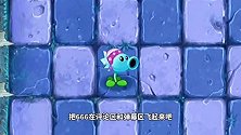 【pvz沙雕配音】瓜瓜反僵新吃货组合的饕餮盛宴