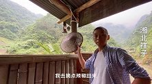 山里的粗茶淡饭，老婆跟着我吃的津津有味，筷子一直没停过