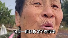 袁婆婆随礼——我就来！到时候把你吃破产！