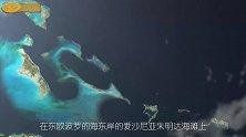神秘海底人真的存在? 圆形头部像蛤蟆 28