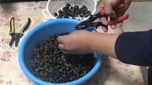 古人曰“清明螺，胜似鹅”，可想而知螺丝营养价值高，你吃对了吗