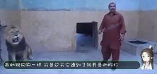 狮子死活不肯进铁笼，男子踢了狮子一脚，下一秒狮子回头了