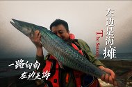 《左边是海》第四集—左边是海瘫！捕鱼收网定点西沙礁盘海钓