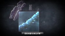 医生看病态度恶劣，患者只能低声下气？