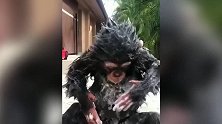 好聪明的大猩猩啊，还给自己洗澡呢，真是厉害极了！