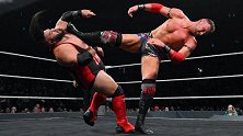 NXT第541期：单打赛 戴贾科维奇VS里德