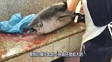 路边小贩表演车轮式刀工，49秒完成1条鱼，网友：完胜日本大厨