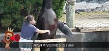 海豹费力的爬上岸抱住男子的脚卖萌，海豹：别说话，吻我