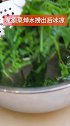 龙须菜，简单一拌，好吃