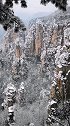 张家界峰林雪景美极啦