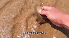 沙滩上发现大蛏王的呼吸孔会往外吐水，还有长臂蟹