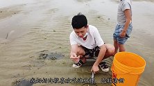 奶奶说想吃螺了，阿旺来到宝地，蛤蜊多到不想要，太爽了