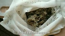 粤西妹用鱼做了一道祛湿汤，汤鲜味美，祛湿效果非常好
