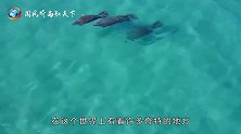 世界上最危险的海，透明度达到72米，过往的船却有去无回