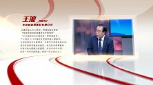 王波：雪泥鸿爪 — 我与出版
