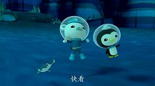 海底小纵队：双髻鲨很感激谢灵通的帮助，大难不死必有后福