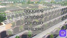 结婚生子买墓地都能贷款？奇葩贷款频出，银行为啥宣传超前消费？