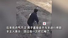 3岁公羊撞主人被阉！再与男子激烈肉搏摔跤：院里的牛马都怕它