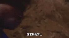 津巴布韦到底有多“富裕”？国民-我们都是亿万富豪！