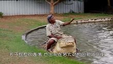 男子在满是鳄鱼的池子上，表演走钢丝，下一秒，身体突然失衡