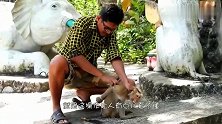 男子救下一只猴子，决定将其放生，就是这操作让人有点看不懂！