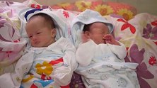 出生第十天的双胞胎宝宝，长得一点也不像，一看就是异卵双胞胎！