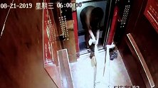 涉嫌对美妆博主宇芽家暴男子 被行政拘留20日