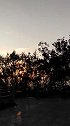 搞笑小视频：云淡风轻