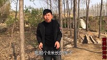 小伙8米长的笼子下在龙虾坑，除了龙虾还有鳝鱼，这次真是大爆网