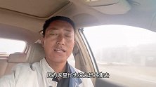 实拍：山东青岛羊市毛羊价格便宜，听听卖多少钱一斤？