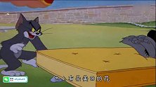 年度奇葩恋爱现场，老鼠给猫当伴娘，动物世界真乱了