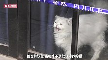 那些滞留在上海昭通路居民区里的宠物们 民警天天喂它“吃饱饱”
