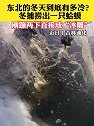东北的冬天到底有多冷？冬捕捞出一只蛤蟆，刚蹦两下直接成冰雕