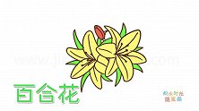 植物简笔画大全，画百合花简笔画