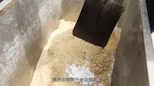 时代影像丨动保行业的中国梦