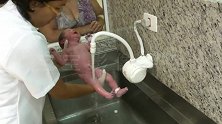 初生婴儿被直接拿到水龙头下冲洗，哭到停不下来，好心疼