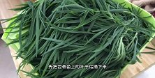 笤帚苗的美味做法，简单又好吃，大人小孩都爱吃
