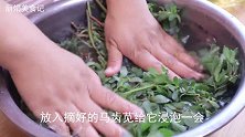 马齿苋别再晾干保存，教你这种保存方法，一年四季吃新鲜的马齿苋