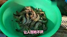 纯野生的小海虾，十多块钱一斤离水即死，包饺子鲜嫩无比