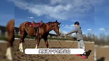 吴京带俩儿子骑马，11岁吴所谓在马背上松弛感满满，性格与爸爸成强烈反差