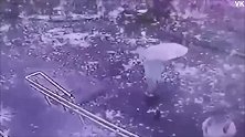 俄罗斯：闪电击中无轨电车，火花雨从天而降