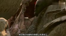 斑马难产而亡，秃鹫趁机分食，不料最后却被狮子白捡了便宜