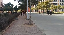高校学生称午休要扫厕所 校方：非强制要求 各系具体安排不一样