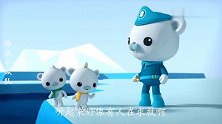 海底小纵队：童子军遇到突发事件，3只海象宝宝遇到困难了！