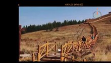 国庆去坝上七彩森林，邂逅梦幻彩色童话世界，如同到了德国