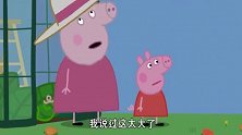 佩琪过万圣节真有牌面，大南瓜比所有人加起来都大