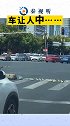 车让人 可可爱爱 小鸭子排队过马路